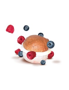 PROTODAY FRUTTI DI BOSCO