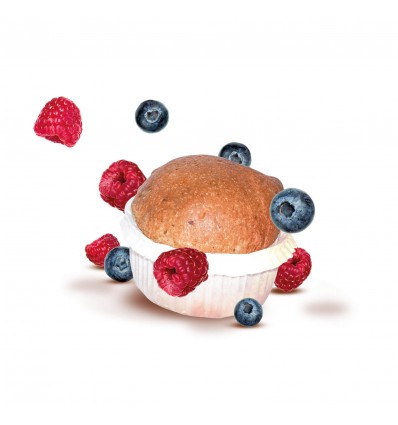 PROTODAY FRUTTI DI BOSCO