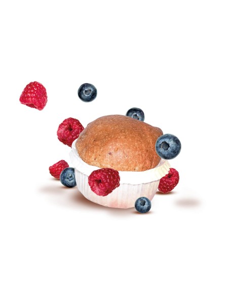 PROTODAY FRUTTI DI BOSCO