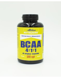 EASY TERMO BRUCIAGRASSI Atelier Nutrizione 4:1:1