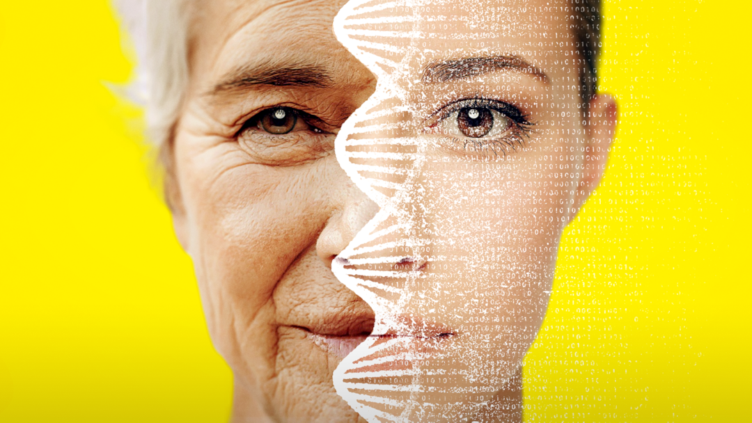 Integratori per la longevità? A Padova il negozio specializzato in longevity